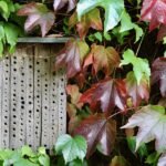 "Top Condo Trends to Watch for in 2021"